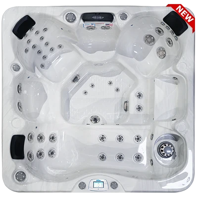 Avalon-X EC-849LX hot tubs for sale in Broomfield