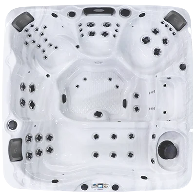 Avalon EC-867L hot tubs for sale in Broomfield